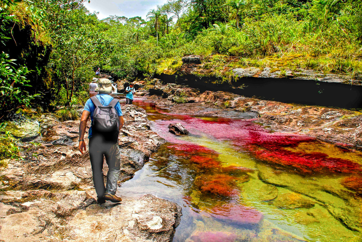 Caño Cristales MTB